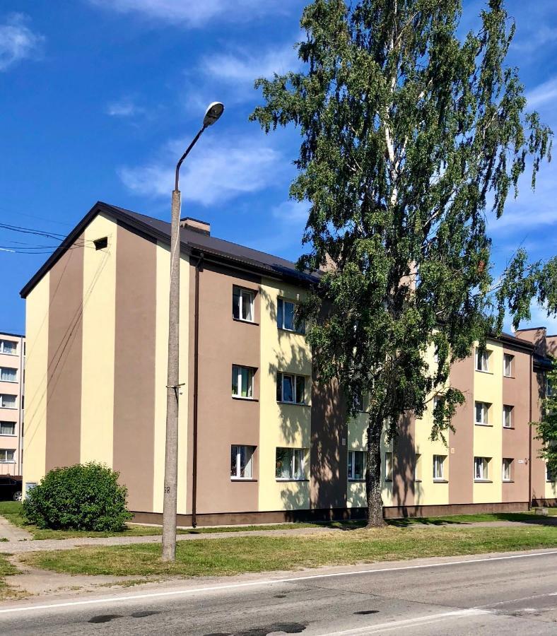 Majigs Dzivoklis Salacgrīva Zewnętrze zdjęcie